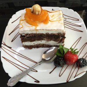 Prajitura cu caise si cacao nr 1122
