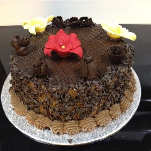 Tort simplu 1,2 kg nr 866