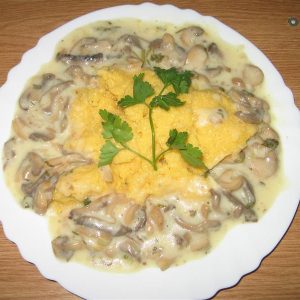 Ciulama de ciuperci cu mamaliguta